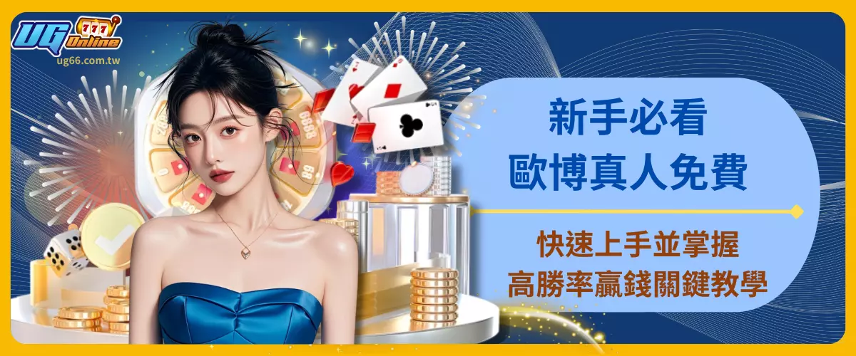 新手必看！